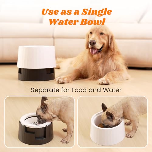 Raised 95oz Slow Drinking Dog Water Bowl No Spill Medium Large Breed