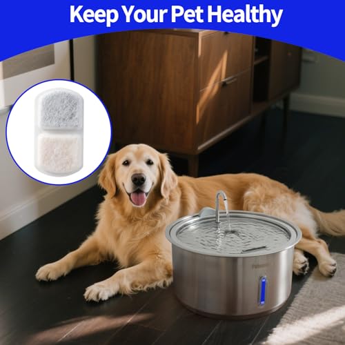 Dog Water Fountain for Large Pets