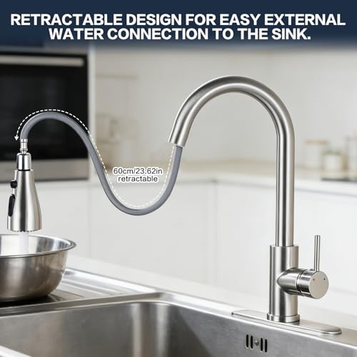 Kitchen Faucet with Pull Down Sprayer