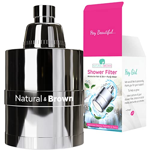Shower Filter
