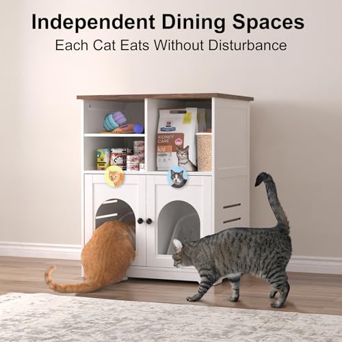 Cat Feeding Station for Microchip Feeder with Dog