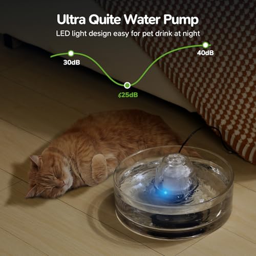 2.7L Glass Pet Fountain (92 Fl Oz)