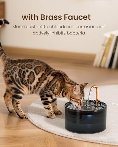 Cat Water Fountain with 6 (74 Fl Oz)