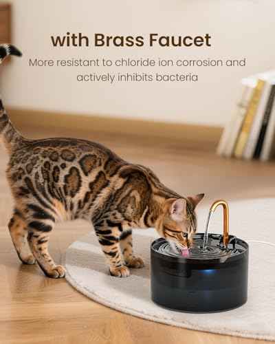 Cat Water Fountain with 9 (74 Ounce)