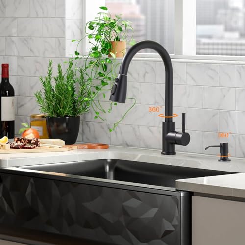 Black Kitchen Faucet with Soap Dispenser