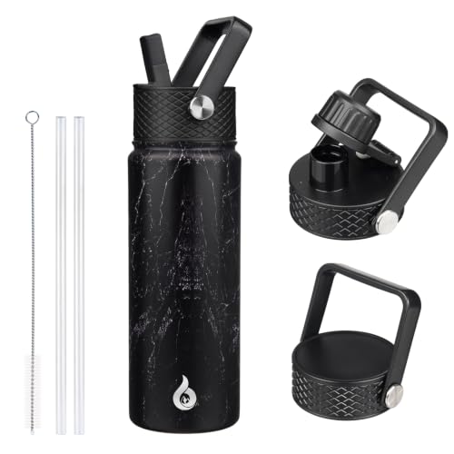 22oz Insulated Water Bottle with Straw Lid