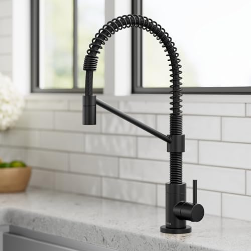Bolden Single Handle Drinking Water Filter Faucet for Reverse Osmosis or Water Filtration System in Matte Black