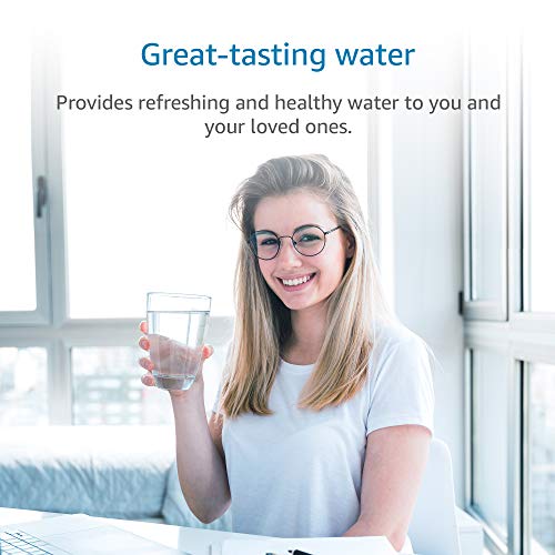 F 201R Water Filter Replacement for InSinkErator® F