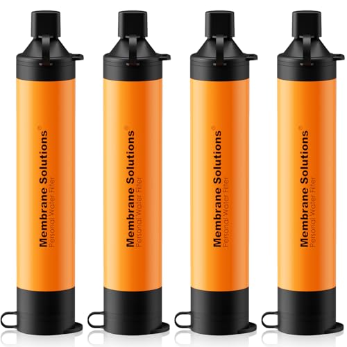 Personal Water Filter Straw S1 (4 Count)