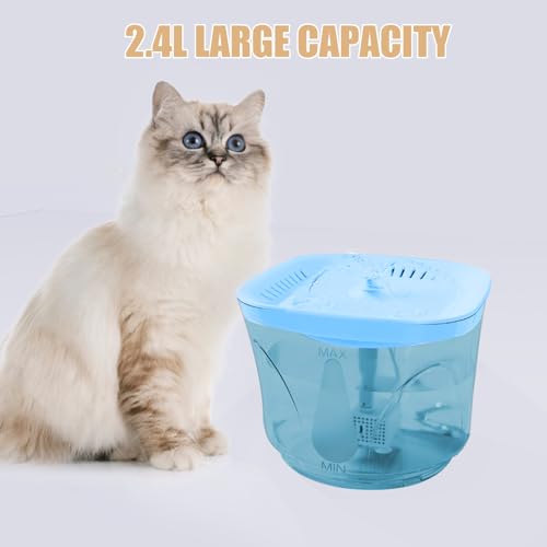 Cat Water Fountain