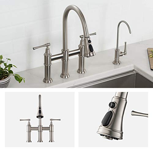 Allyn Transitional Bridge Kitchen Faucet with Pull