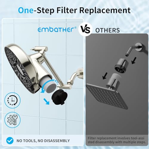 8 Inch Filtered Shower Head with Extension Arm Brushed Nickel