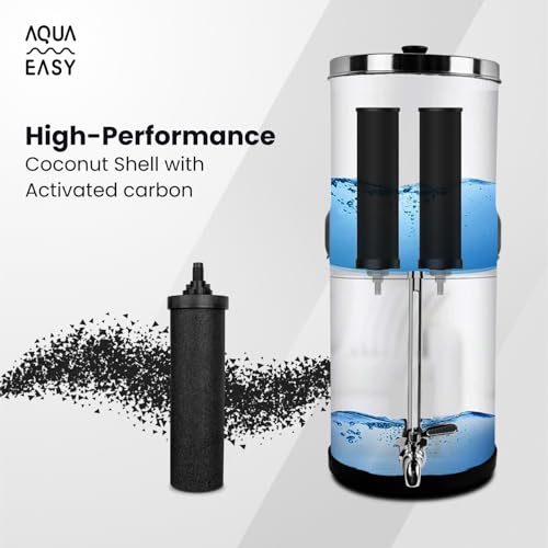 AquaEasy BB9 Replacement Water Filter Candles (2 Count)