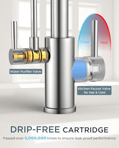 Kitchen Faucet with Purified Water