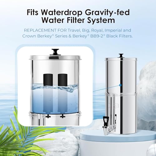 Black Water Filter (2 Count)