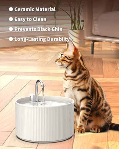 Ceramic Cat Water Fountain