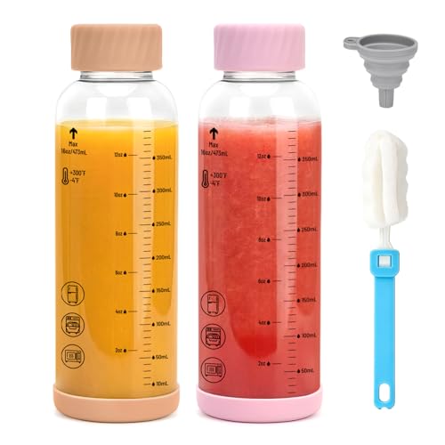 Glass Water Bottles with Stainless Steel Lid 16 oz (2 Count)