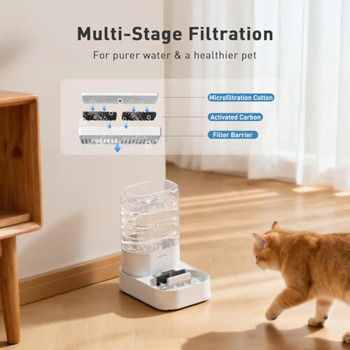 2 Pack Gravity Cat Feeder and Water Dispenser No (2015 Gram)