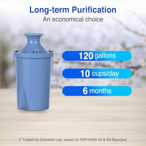 10 Cup Water Filter Pitcher & 2 Longlast Filters