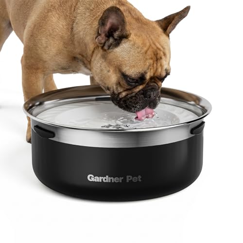 Slow Water Bowl for Dogs