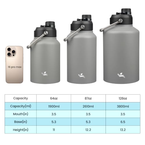 87 oz Insulated Stainless Steel Water Bottle Jug with Handle