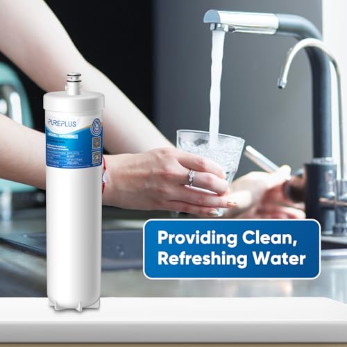 DW80 90 Under Sink Water Filter (2 Count)