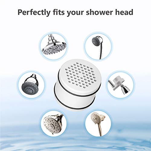 WHR 140 Shower Filter (2 Count)