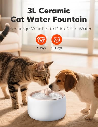 Premium Ceramic Cat Water Fountain W03 Lite