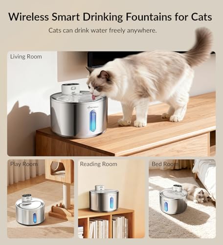 Cat Water Fountain Stainless Steel (4 Fl Oz)