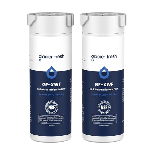 XWF Replacement for GE XWF Refrigerator Water Filter 2 Pack (2 Count)