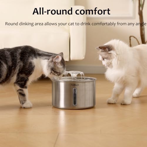 Cat Water Fountain Stainless Steel