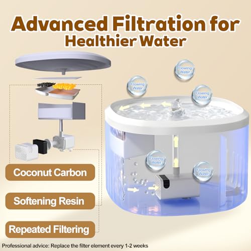 Cat Water Fountain