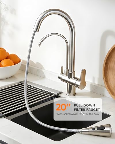 Kitchen Faucet with Water Filter Spout