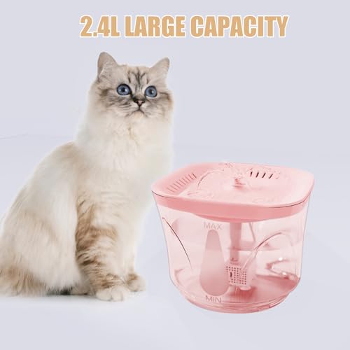 Cat Water Fountain