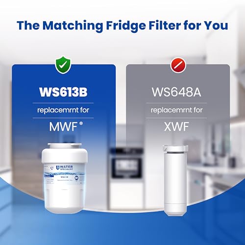 WS613B Water Filter (4 Count)