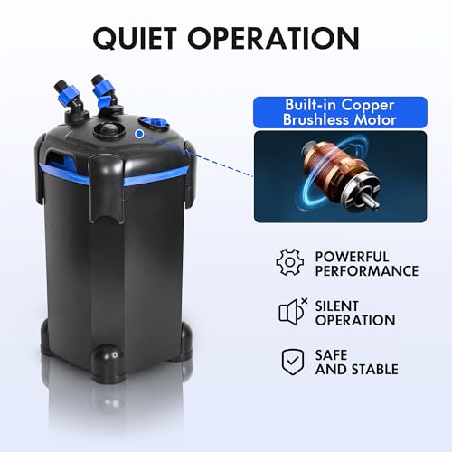 Canister Filter
