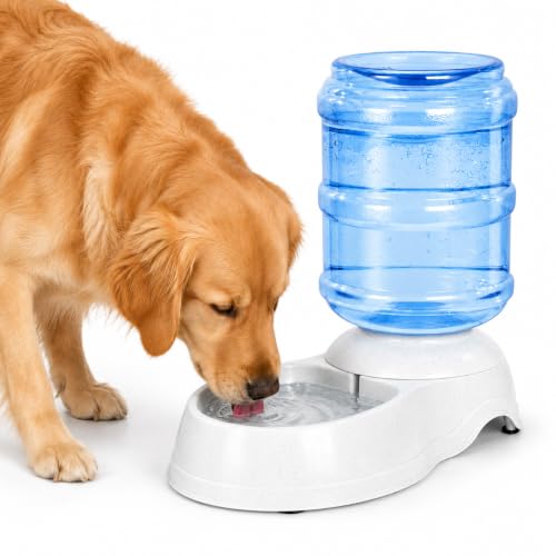 Pet Water Dispenser Station for Large Dogs and Cats