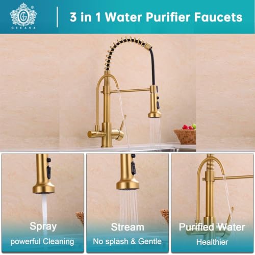 Commercial 3 in 1 Spring Brushed Gold Kitchen Faucet