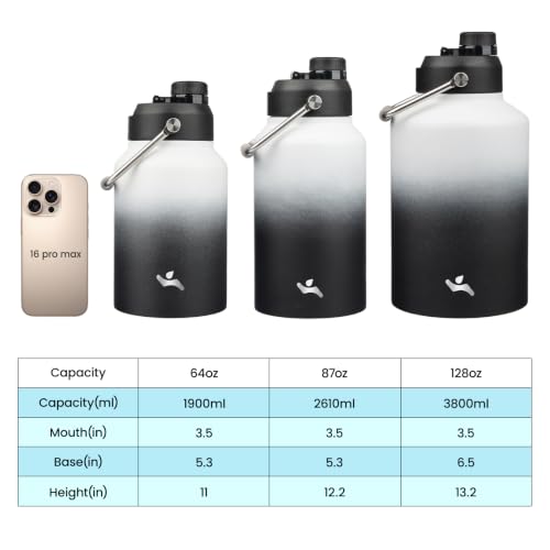 87 oz Insulated Stainless Steel Water Bottle Jug with Handle