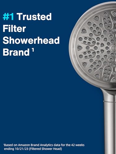 Filtered Shower Head with Handheld
