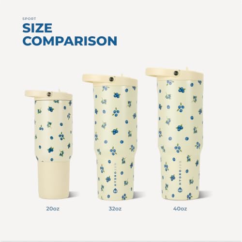 Sport 32 oz Insulated Stainless Steel Water Bottle