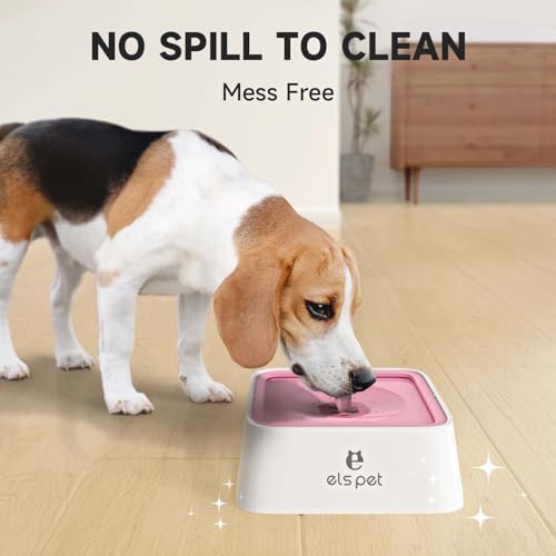 Water Bowl for Cats & Dogs 2L