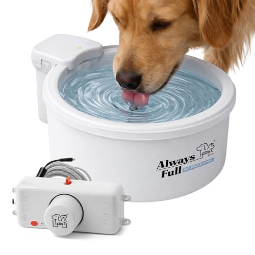 9" Self Refilling Dog Water Bowl with Wall Unit