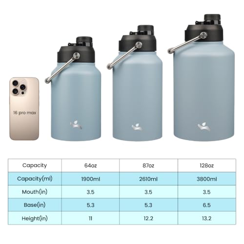 64 oz Insulated Stainless Steel Water Bottle Jug with Handle