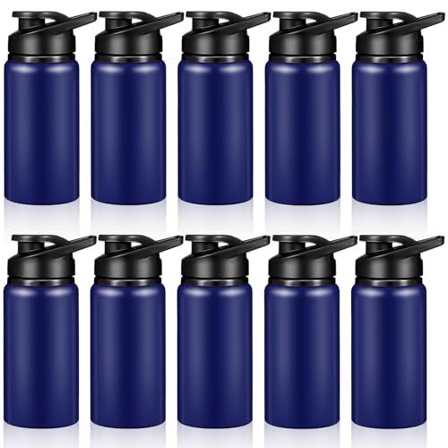 10 Pcs 13.5oz Aluminum Water Bottles Bulk