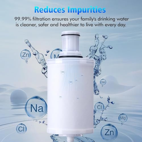 2 Pack 100186 Original Water Filter Replacement Cartridge Compatible with Amway Espring (100186 Count)