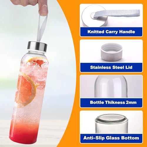 3 Packs Glass Water Bottles with Lid (3 Count)