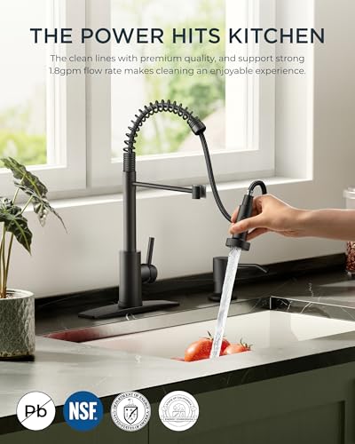 Black Kitchen Faucet with Soap Dispenser