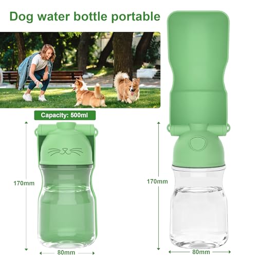 Dog Water Bottle