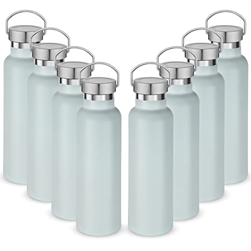 20 oz Insulated Water Bottles (8 Count)